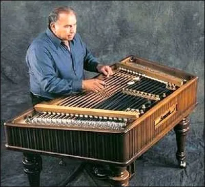 Quel est le nom de cet instrument à cordes frappées ?
