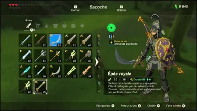 Quelle arme choisis-tu ?