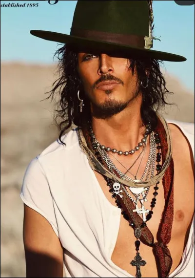 Qui chantait "♪ ♪ Il a un rire de voyou, dans le fond des yeux des amis, il a le cur au bord des coups, le Gitan, le Gitan...♫" ?