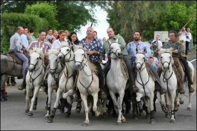 Où se déroule la Fête des Gitans au mois de mai ?