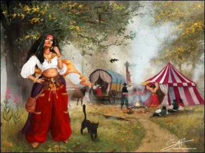Qui sont les Gypsies ?