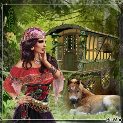 Qui interprète les paroles "♪ ♫ Je suis né dans cette caravane et nous partons, allez viens" ?