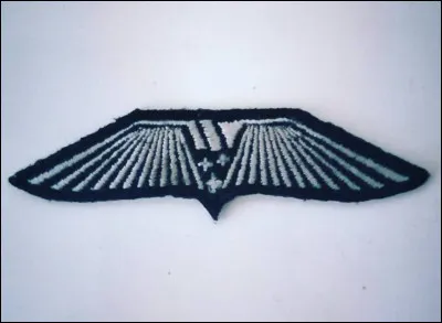 Dans quel film de Ridley Scott pouvons-nous apercevoir cet insigne ?