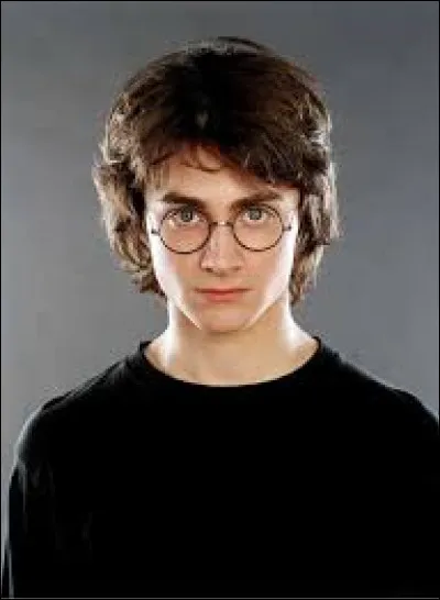Et pour finir, que penses-tu de Harry Potter ?