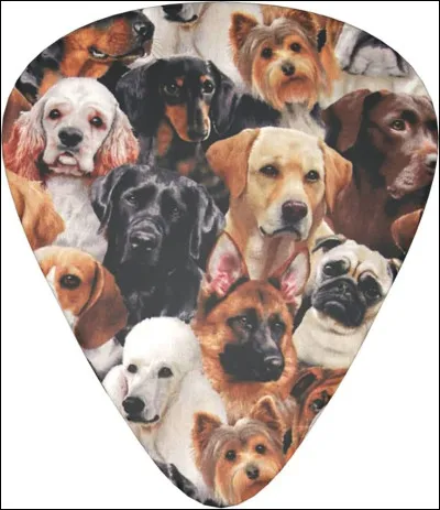 Il y a des chiens dans...