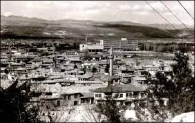 Où est né Missak Manouchian ?