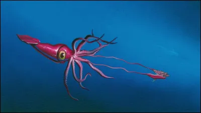 Quel est cet animal ?