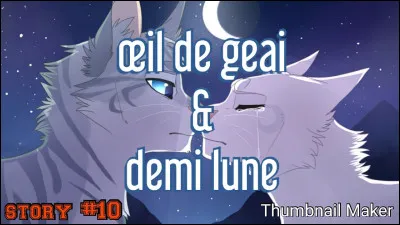 Faon Timide : Est-elle restée ou partie lors du voyage sur le sentier du soleil ?