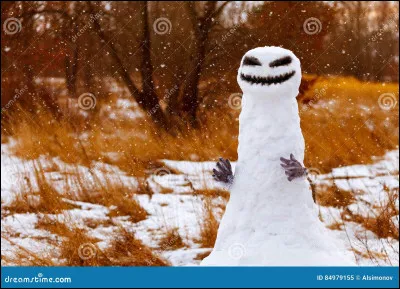 Dans le premier film, comment s'appelle le bonhomme de neige 
qu' Elsa a créé quand elle était dans son palais de glace ?