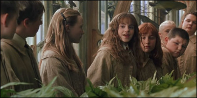 Où se déroulent les cours de botanique ?