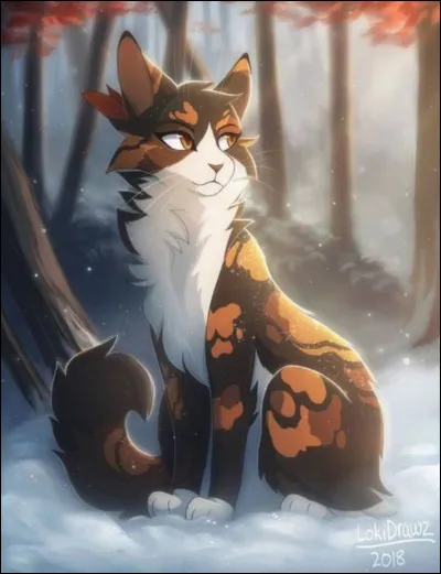 Qui est cette chatte ?