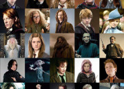 Test Ta vie dans ''Harry Potter'' (pour fille)