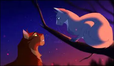 Ce soir, cest lassemblée, et tu vas y assister. La journée passe normalement, et tu parviens presque à en oublier il de Corbeau. Le soir venu, vous vous rendez donc sur lîle. Lassemblée commence et un jeune mâle du clan de la Rivière taborde puis vous commencez à discuter. Son nom est Tige de Roseau et il se révèle être très sympathique, vous vous trouvez de nombreux points communs.
Qu'en penses-tu ?