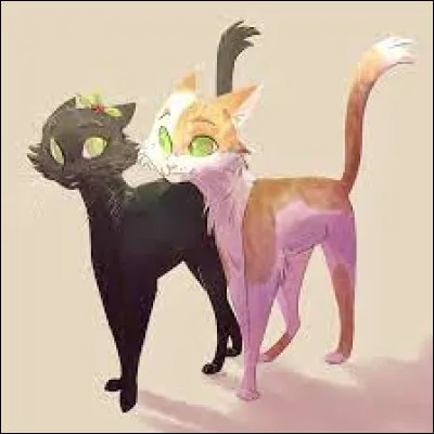 Tu acceptes finalement, elle te complimente énormément lorsque tu parviens à attraper un merle qui ta presque foncé entre les griffes. À côté, elle na pas hésité à escalader un arbre pour tenter dattraper un écureuil, quelle a réussi à saisir in extremis. Lorsque tu la félicites, elle prend un air gêné et répond que ce nétait rien. Puis, elle se lance et tavoue ses sentiments pour toi.