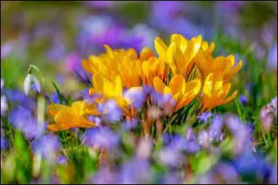 Le mois de mars contient-il plus ou moins de jours que le mois d'avril ?