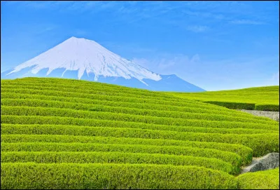 Comment dit-on "vert" en japonais ?