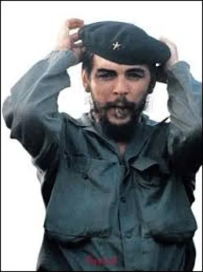 La Tricontinentale en 1965, était une organisation qui regroupait des leaders de mouvements de libération, parmi ceux-ci : Che Guevara et Mehdi Ben Barka ?