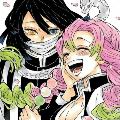 Je vais essayer de terminer sur un truc réconfortant à la fin de chaque quiz, alors pour celui-ci, voici la question finale qui devrait faire chaud au cur : 
Avant de mourir, Mitsuri et Obanai se promettent de s'épouser dans une autre vie. Mais du coup, ils l'ont fait ?