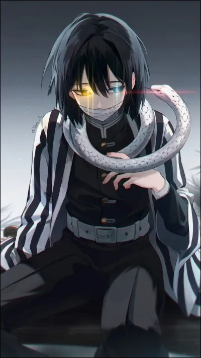 Avant de devenir Pourfendeur, il était :