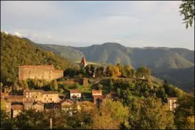 Village d'Auvergne-Rhône-Alpes, dans l'aire d'attraction Ponote, Saint-Privat-d'Allier se situe dans le département ...
