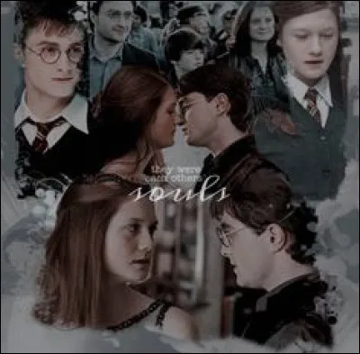 Combien d'enfants Harry a-t-il ?