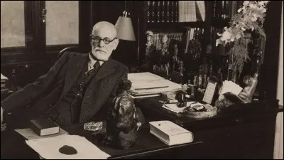 Traitement de troubles mentaux :