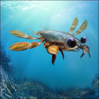 Quel est cet animal ?