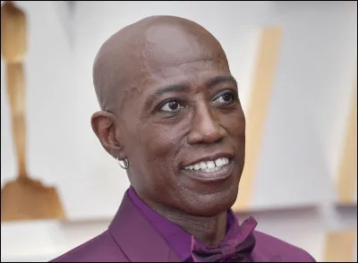 Dans quelle catégorie cinématographique avons-nous le plus vu Wesley Snipes ?