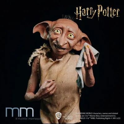Qu'inscrit Harry sur la pierre tombale de Dobby ?