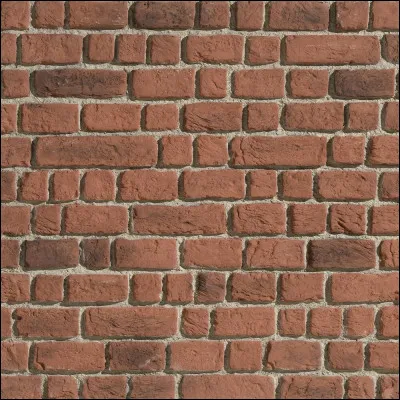 Quelle brique permet d'ouvrir le Chemin de Traverse ?