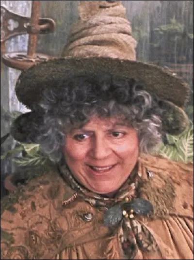 Quel est le prénom du professeur Chourave ?