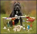 Quelle est sa date de cration ?