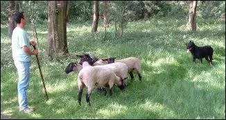 Qui fait partie de la commission communication ?