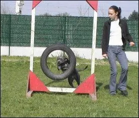 Quels sont les dlgus ?