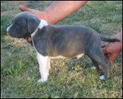 Quel but poursuit une association de loi 1901 ?