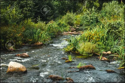 Comment sappelle le fils de la commandante Rivière ?