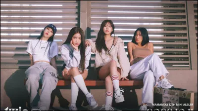 Quel est ton animal préféré entre ceux-ci ?