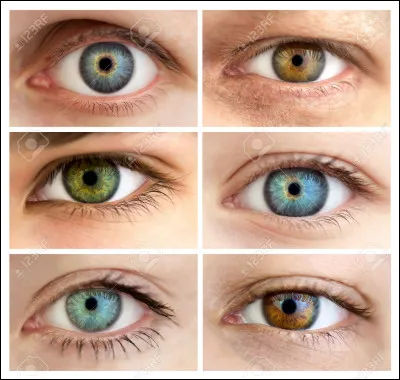 De quelle couleur sont tes yeux ?