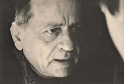 Quel insecte est une thaïde ?