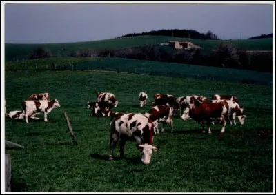 Et un commodat, qu'est-ce que c'est ?