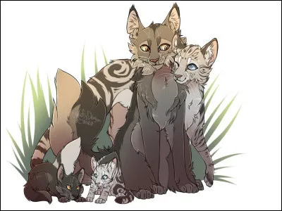 Combien avez-vous eu de chatons ?