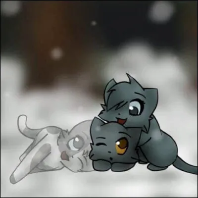 Quelle est la couleur de ses yeux ?