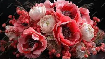 Et pour finir, quelle couleur préfères-tu ?