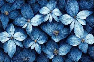 Quelle couleur préfères-tu ? (2)