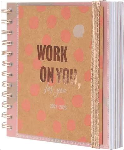 Marques-tu bien TOUS tes devoirs dans l'agenda ?