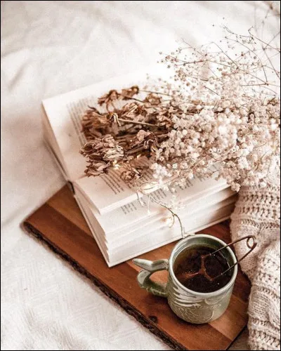 Françoise : quel livre n'appartient pas à Françoise Sagan ?