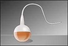 Comment s'appelle ce col utilis en bilologie ?