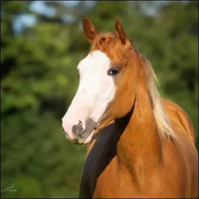 Quelle est la liste sur la photo ci-dessus ?