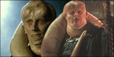 De quelle espèce est Bib Fortuna, le majordome de Jabba qui prendra sa place après sa mort ?