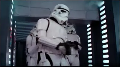 Comment se nomment ces soldats impériaux ?